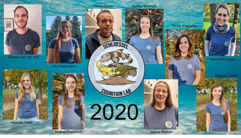 Lablab 2020.png
